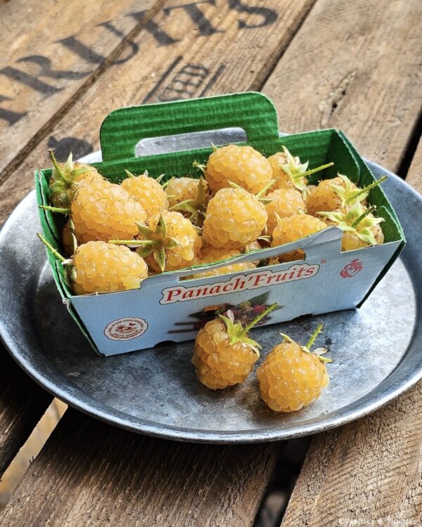 Framboises jaunes oranges