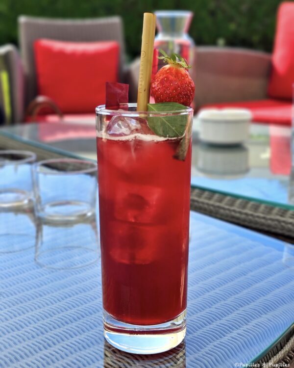 Gin fraises basilic hibiscus