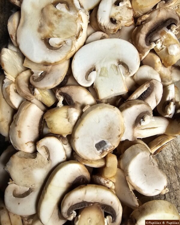 Lamelles de champignons
