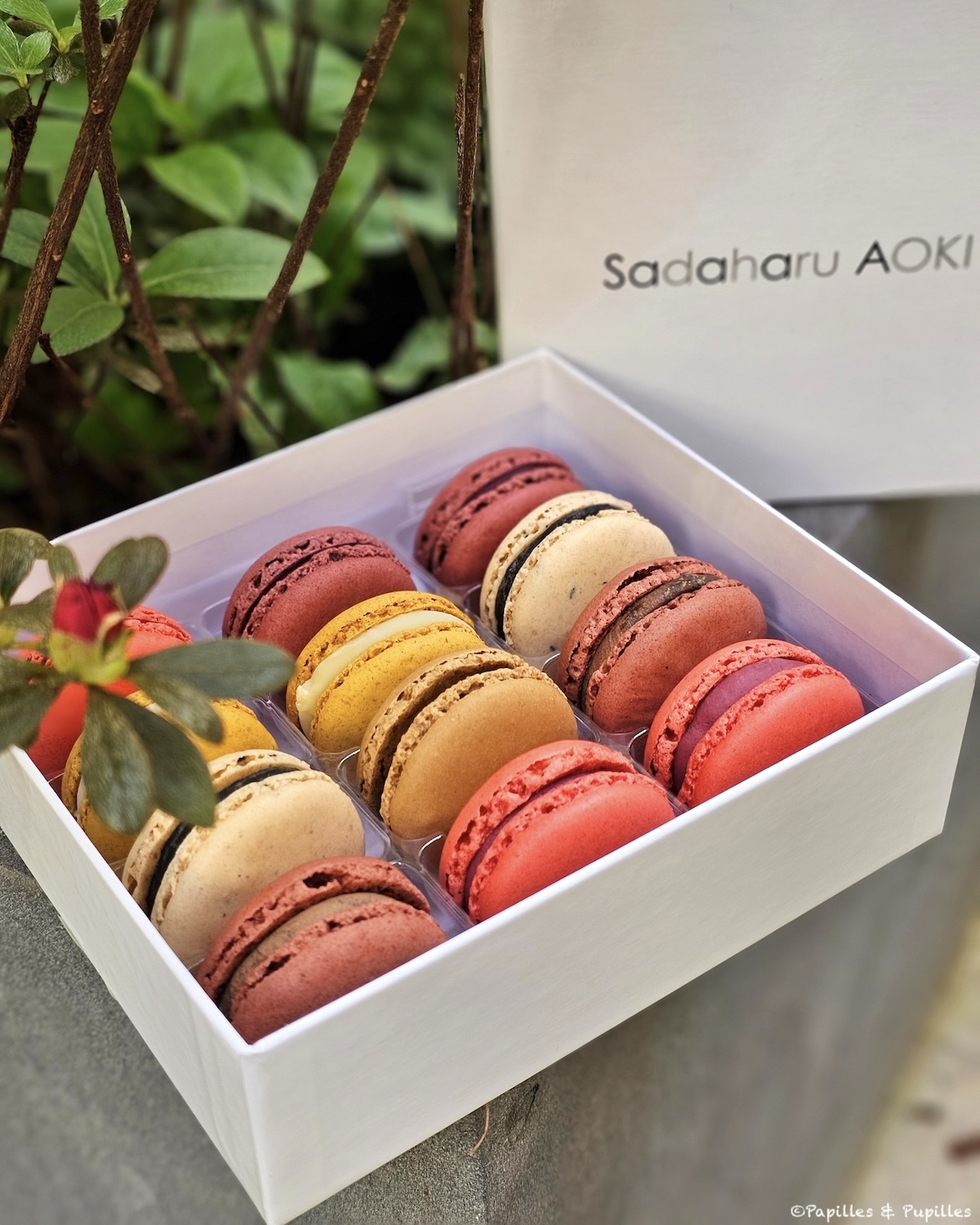 Macarons Aoki
