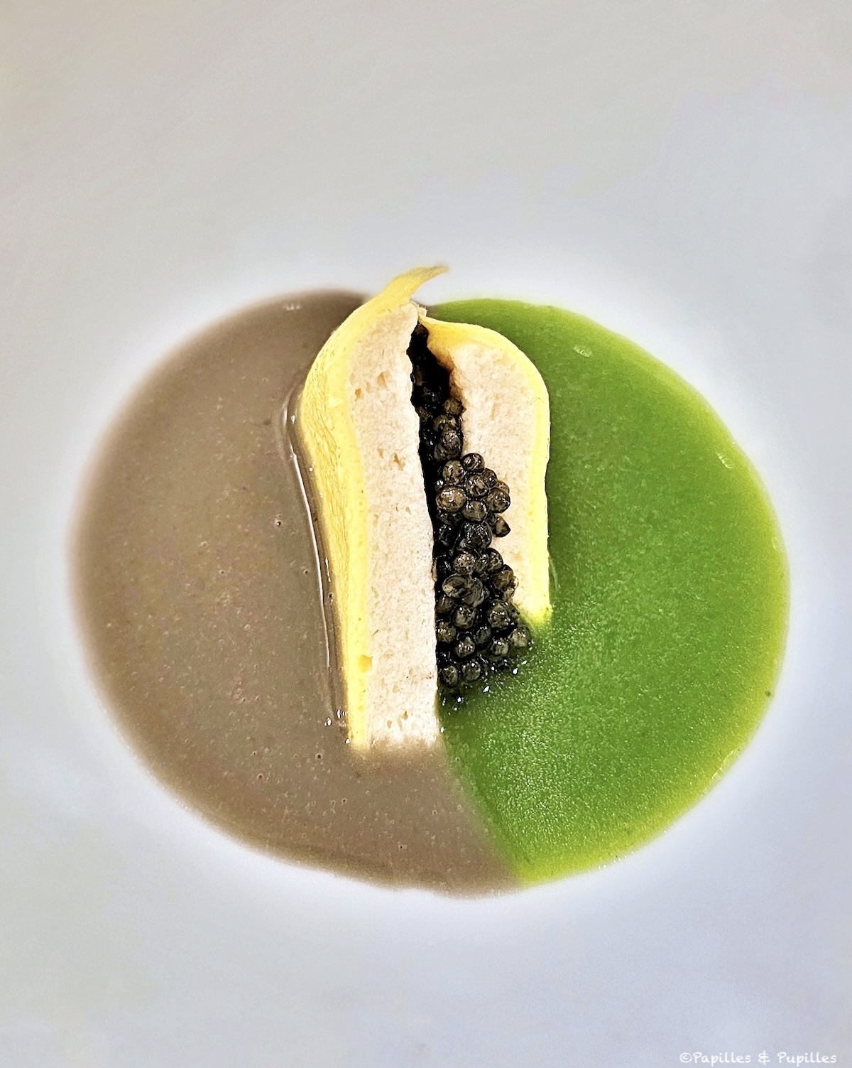 Omelette d'alose de l'Adour au caviar Prunier herbacé
