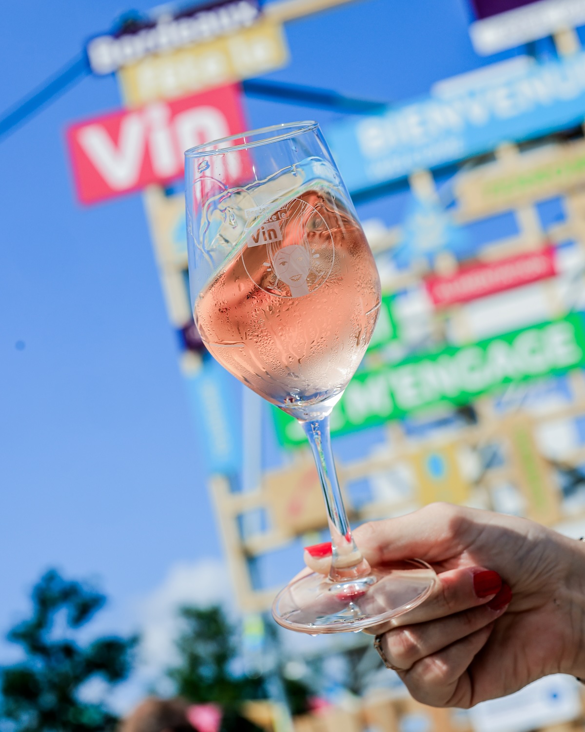 Bordeaux fête le vin (c) Guillaume Bonnaud (20)