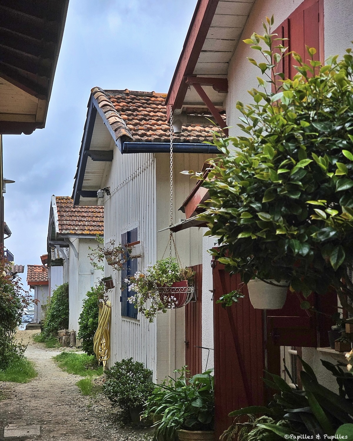 Cabane ostréicole du Bassin d’Arcachon