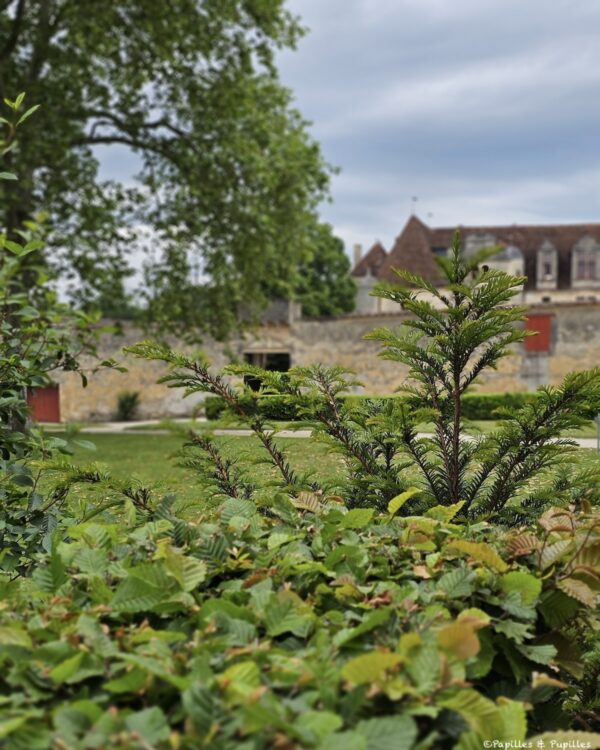 Château Grand Verdus