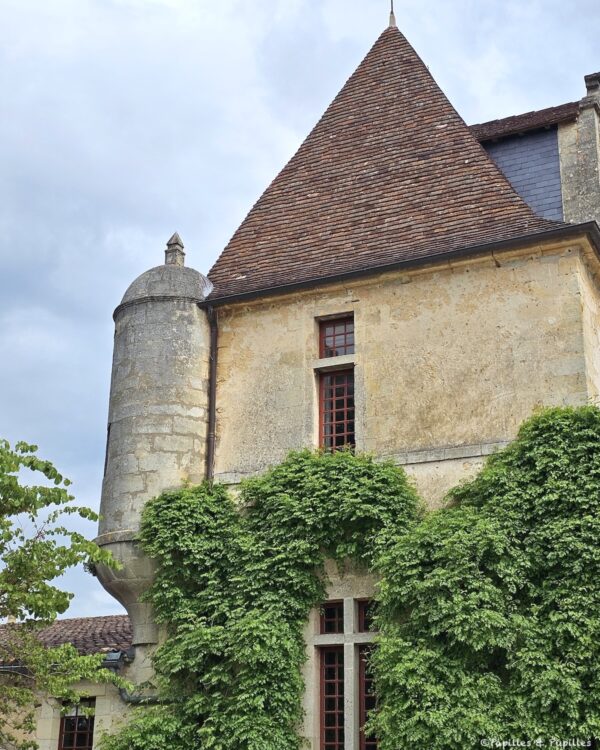 Echauguette et fenêtres à meneau