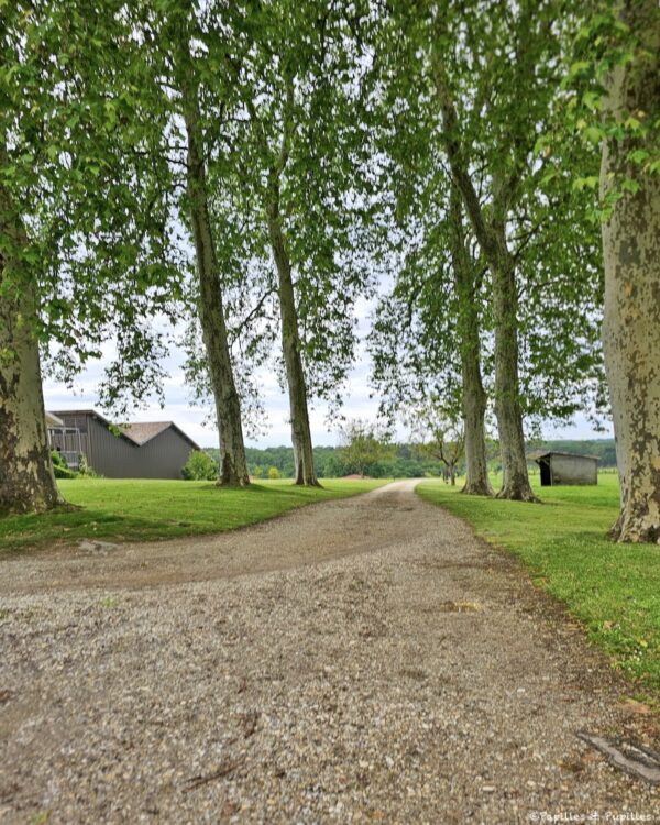 Château Le Grand Verdus