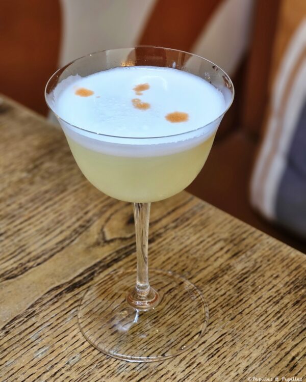 Pisco Sour