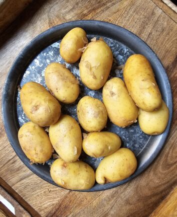 Pommes de terre nouvelles