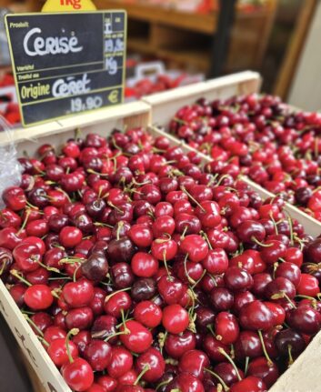 Premières cerises