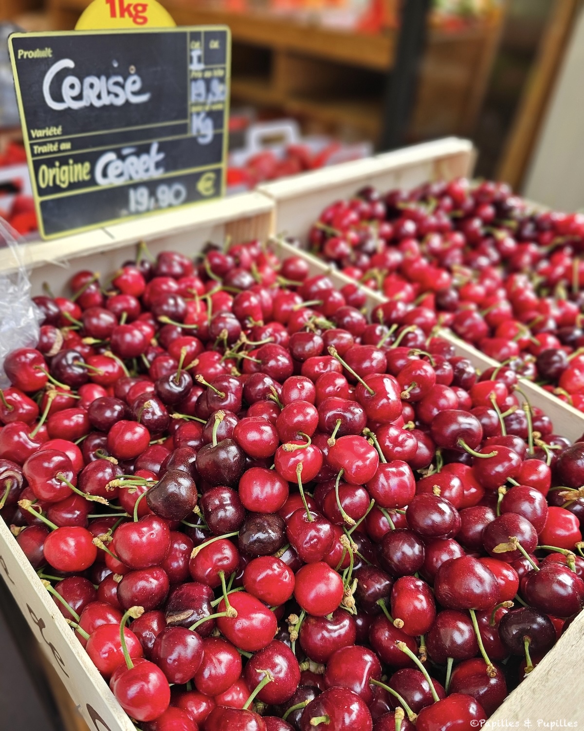 Premières cerises