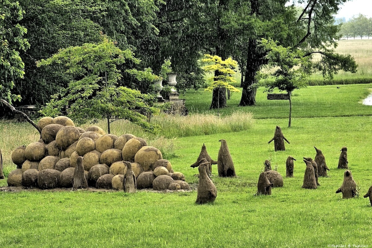 Raisins et pingouins