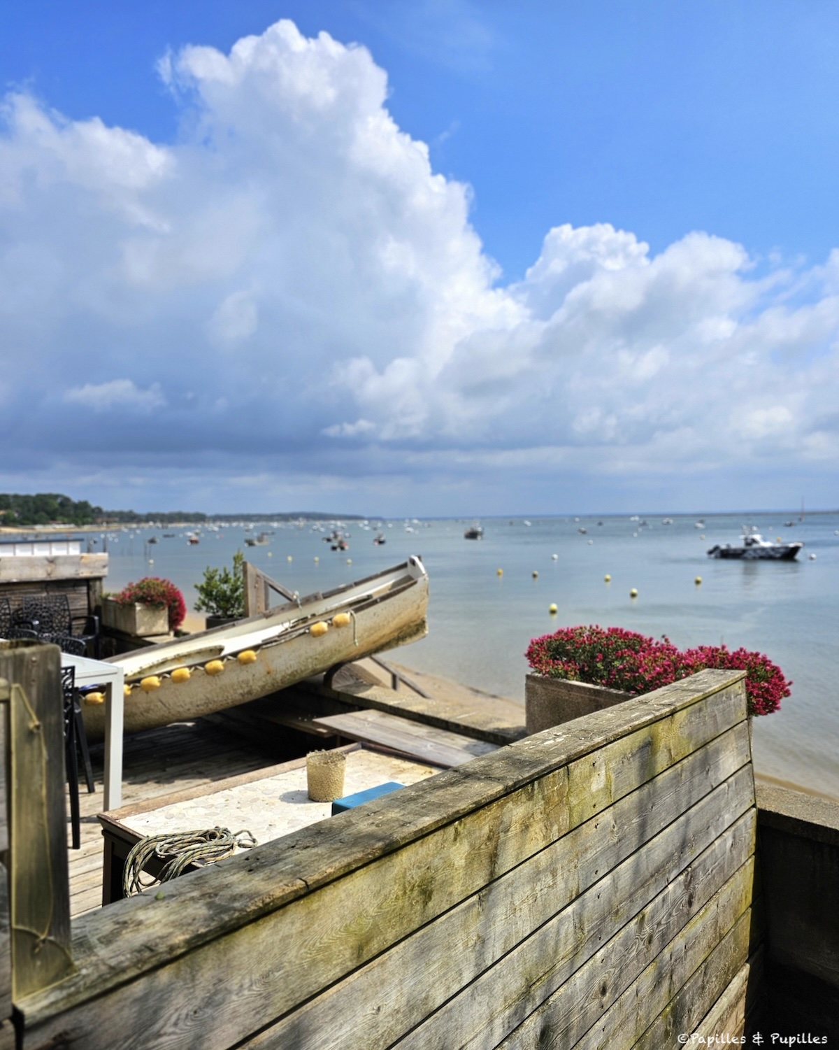 Village de l'Herbe - Cap Ferret