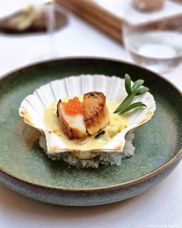 St Jacques de plongée, poireaux et criste marine