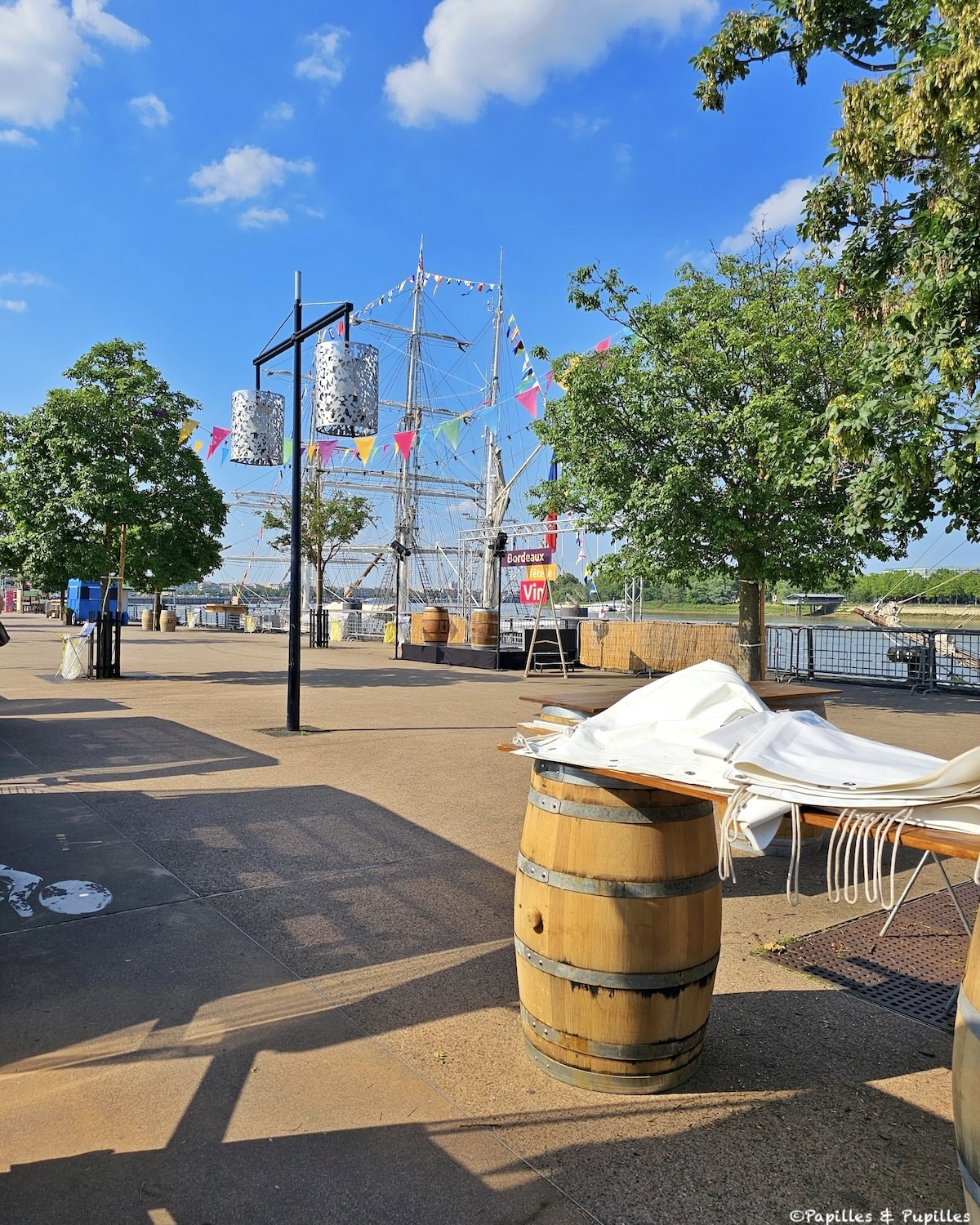 Bordeaux fête le vin