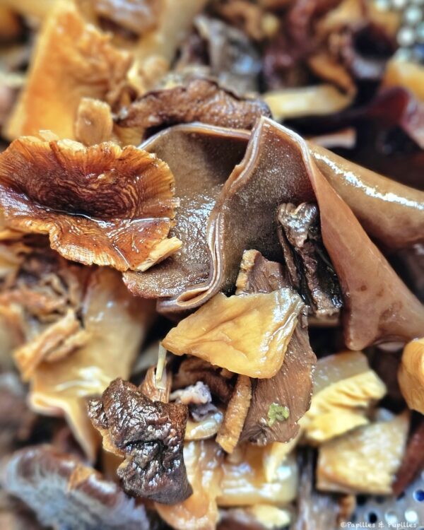 Champignons cuits