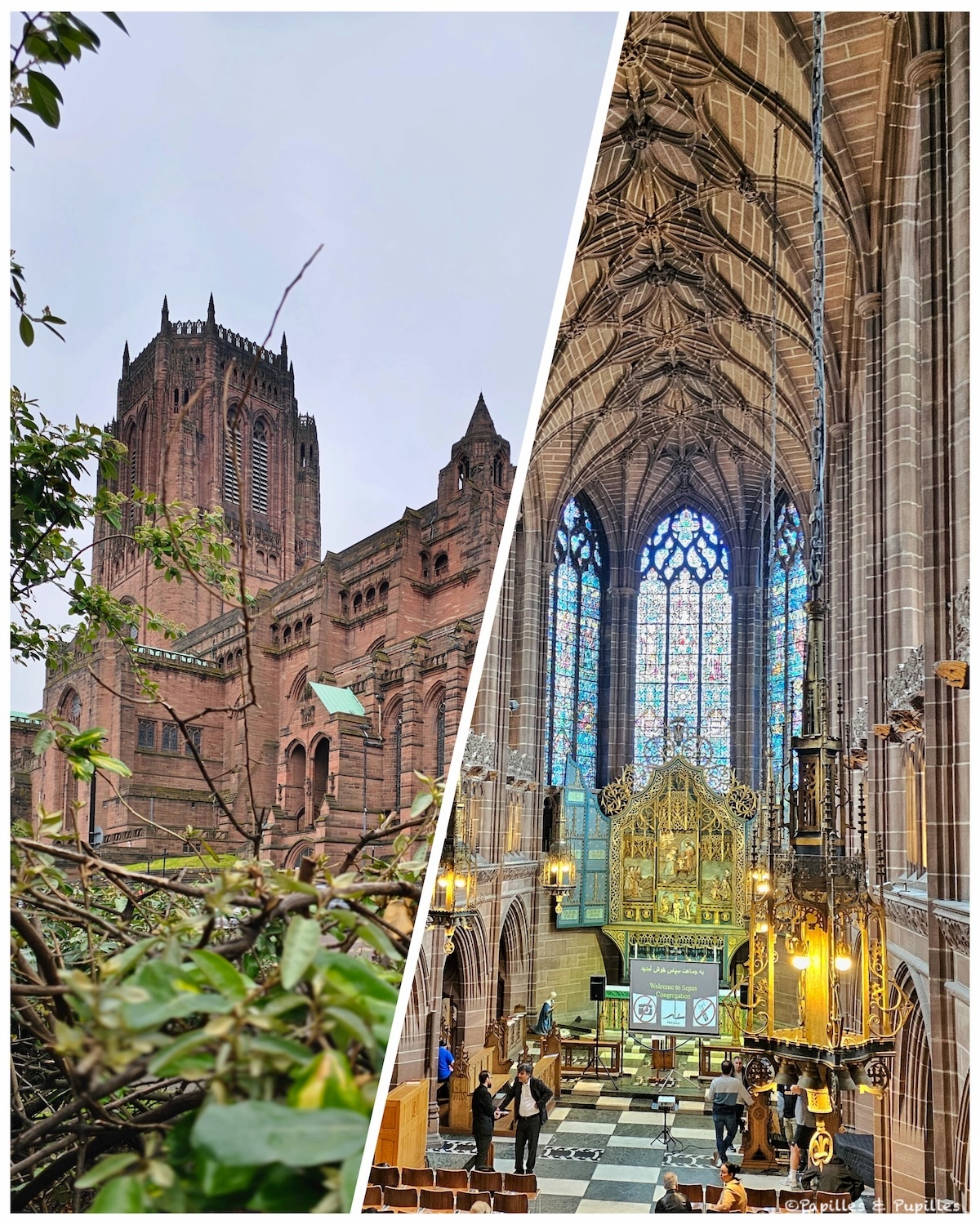 Cathédrale anglicane