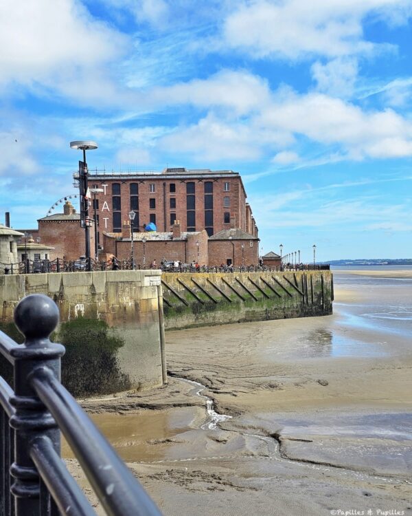 Long du fleuve Mersey