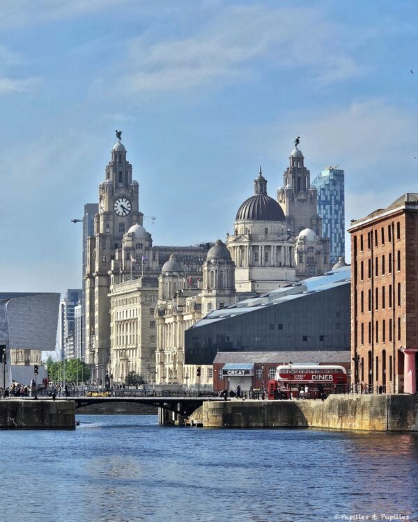 Vue sur le Royal Liver Building