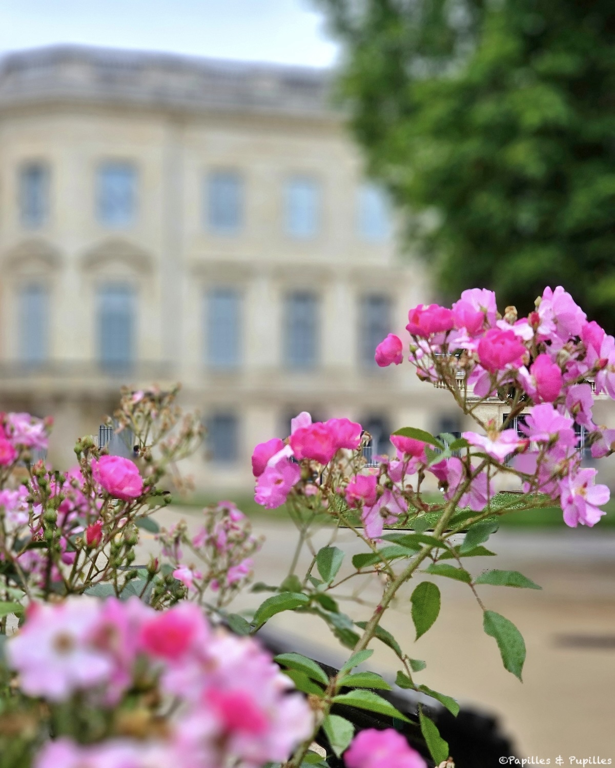 Jardin public - Bordeaux