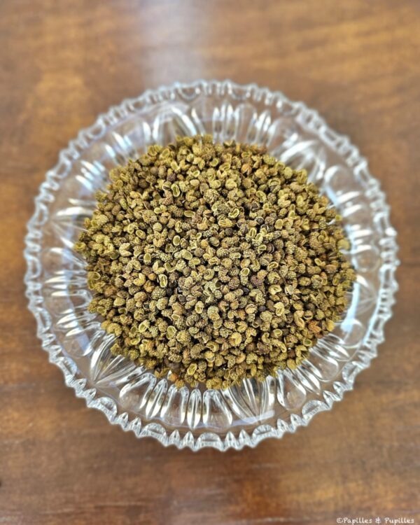 Poivre de sichuan vert