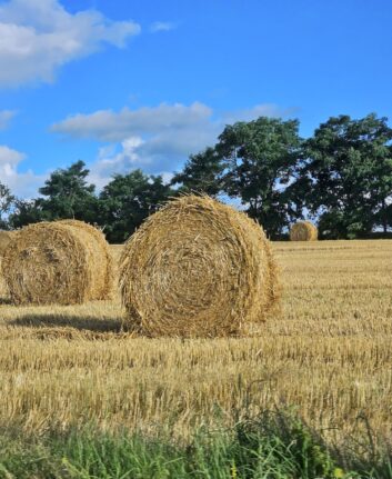 A la campagne