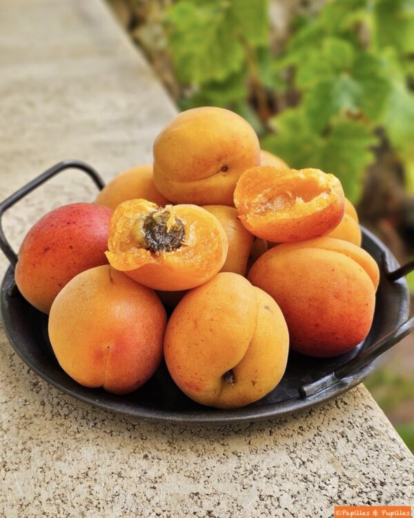 Abricots