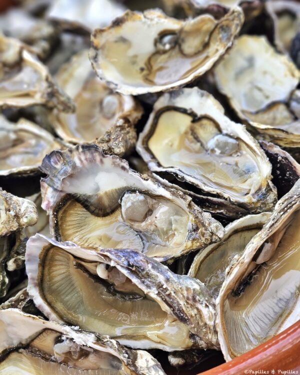 Huîtres du Médoc
