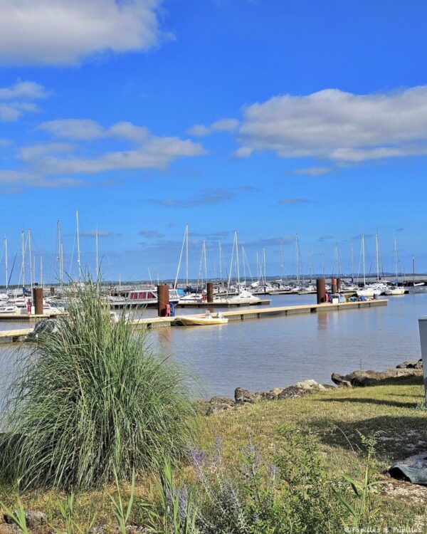 Pauillac - Port