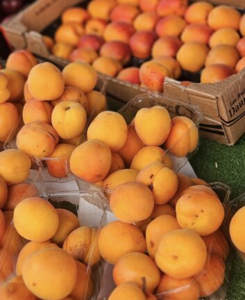 Abricots
