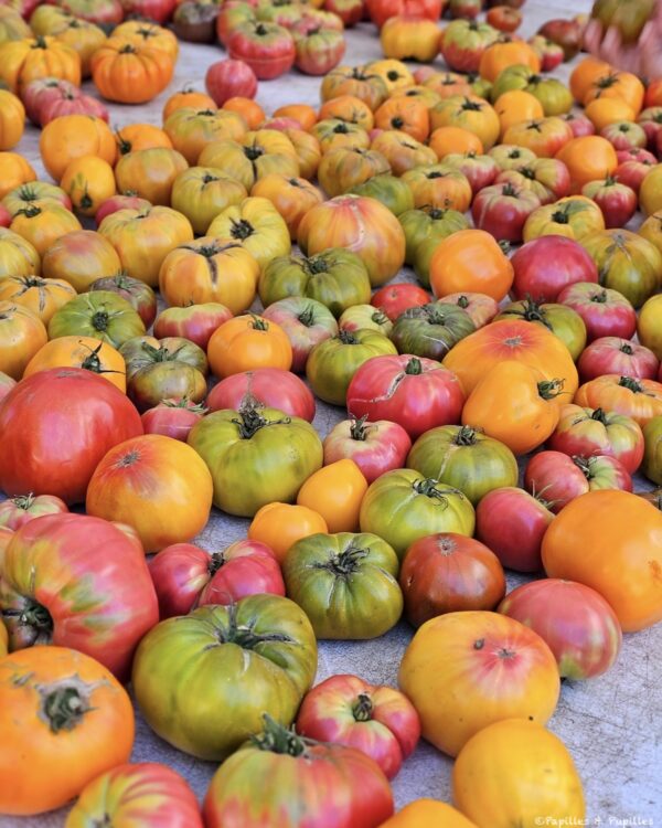 Tomates mûres riches en umami