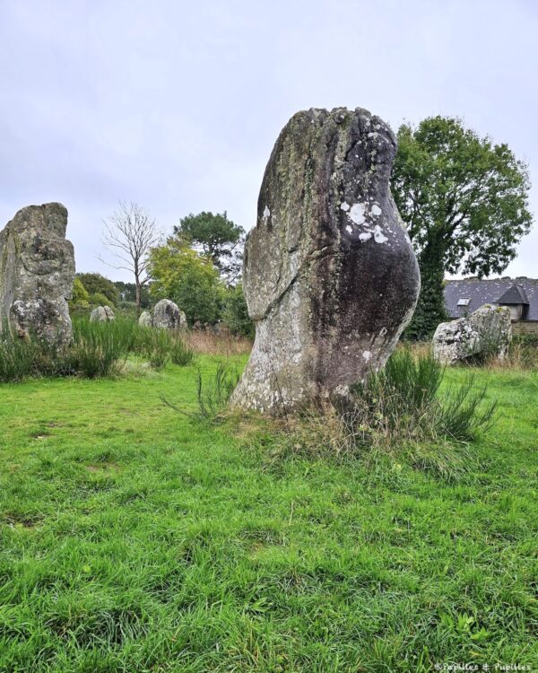 Alignements de Carnac