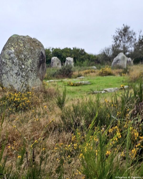 Alignements de Carnac