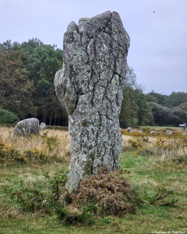 Alignements de Carnac