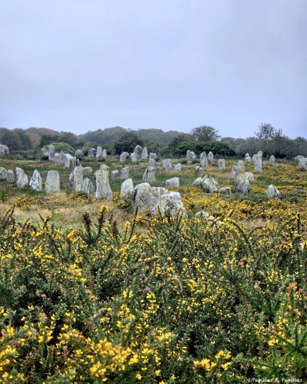 Alignements de Carnac