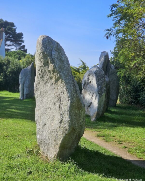 Alignements de Kerbourgnec