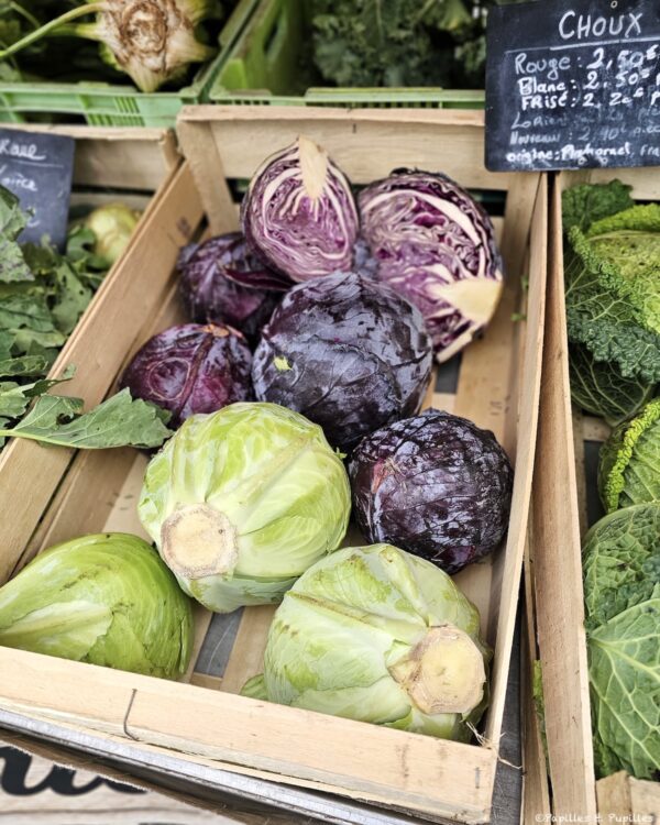 Chou rouge et chou blanc
