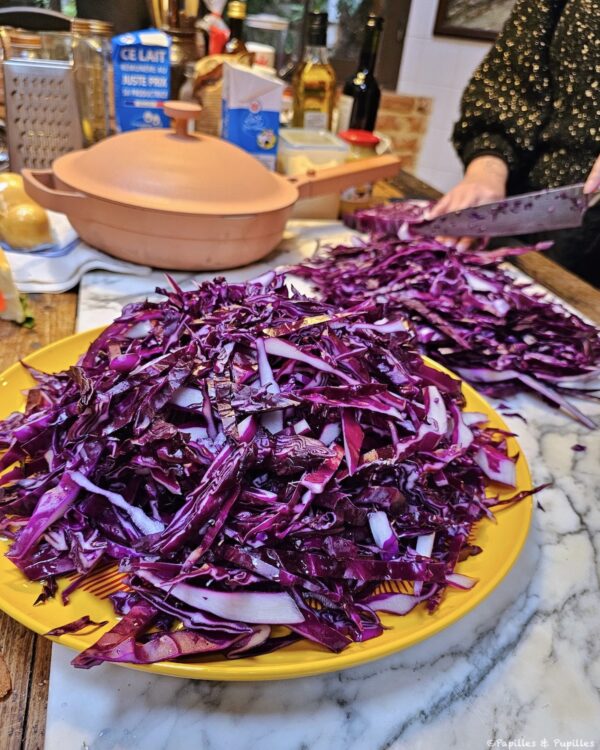 Chou rouge coupé