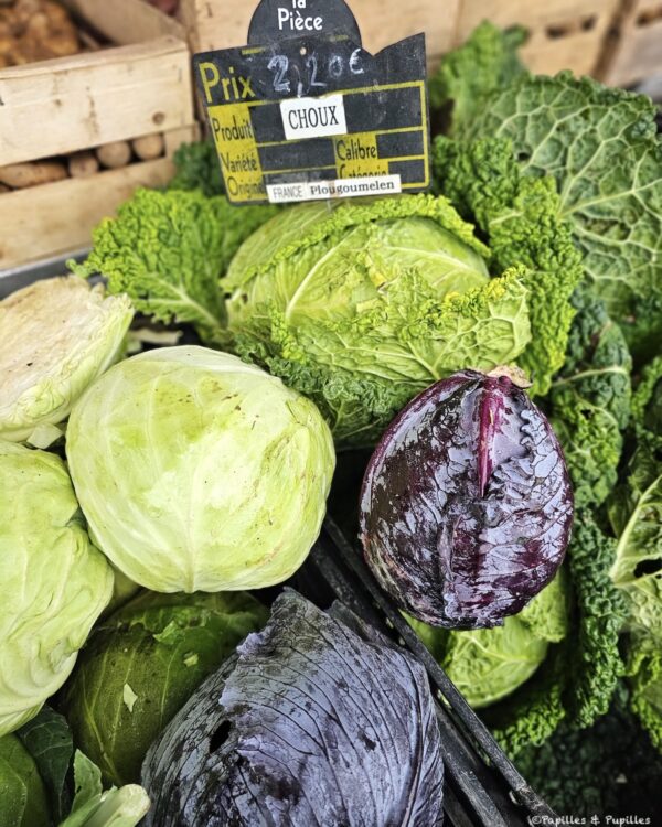 Choux - différentes variétés