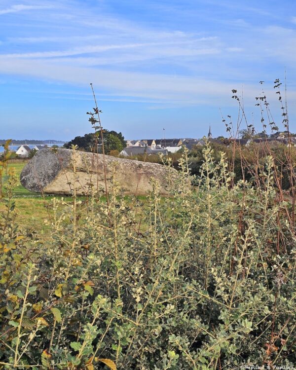 Grand Menhir brisé de Locmariaquer