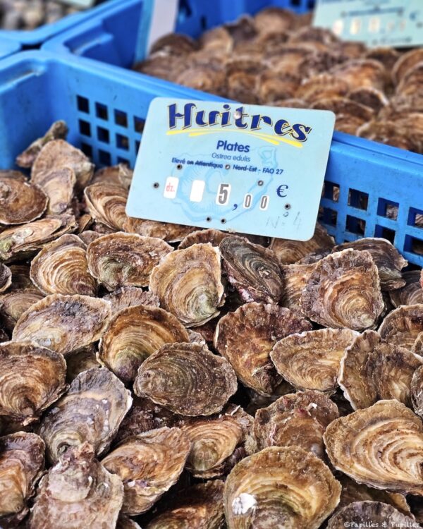 Huîtres plates