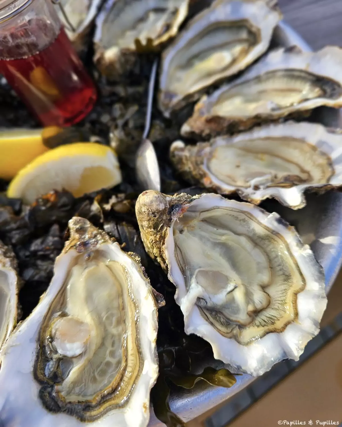 Huîtres Pompadour, Maison Quintin