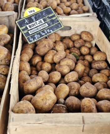 Pommes de terre Bintje