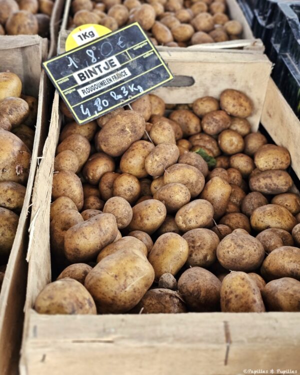 Pommes de terre Bintje