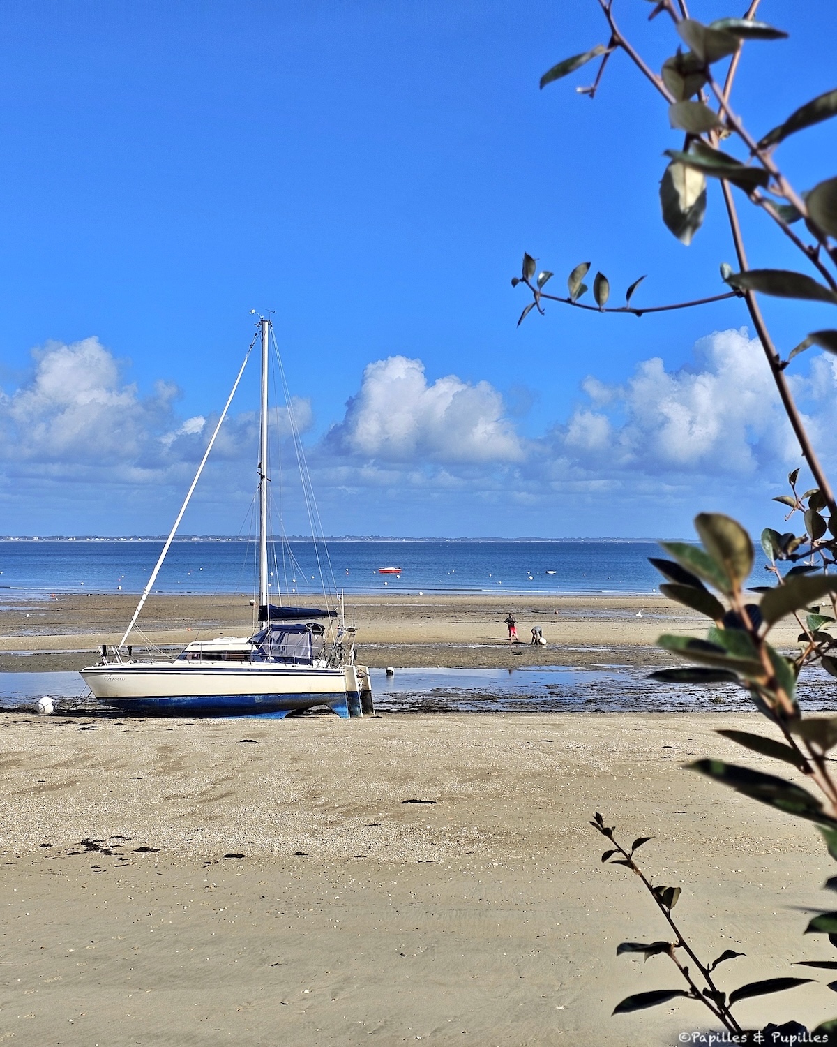 Port d'Orange, Saint Pierre Quiberon