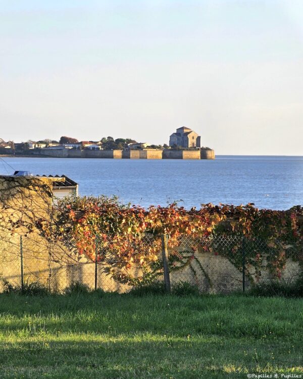 Arces, vue sur Talmont