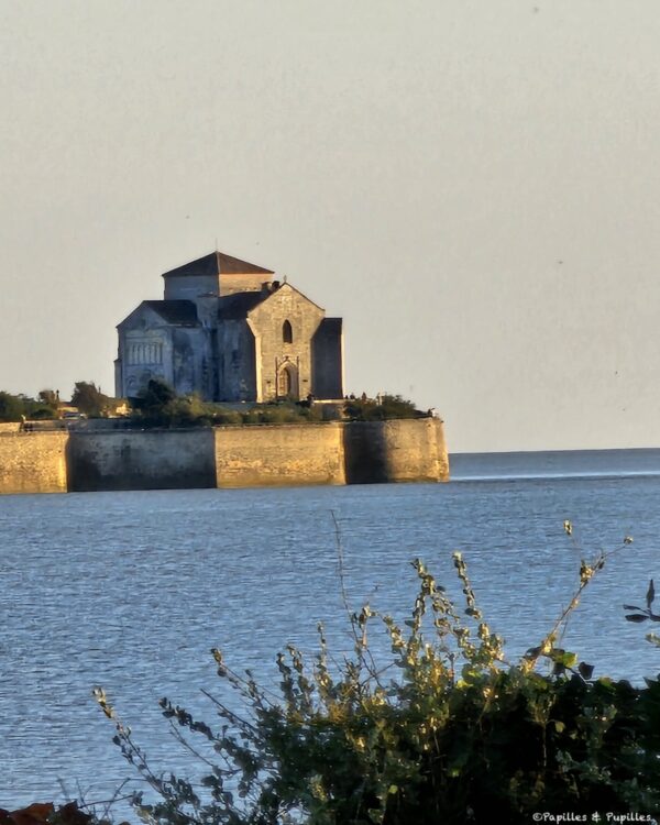 Arces, vue sur Talmont