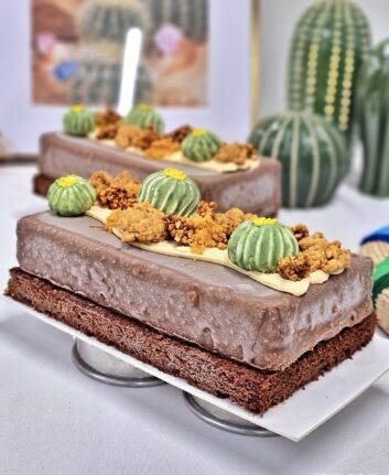 Bûche Desierto