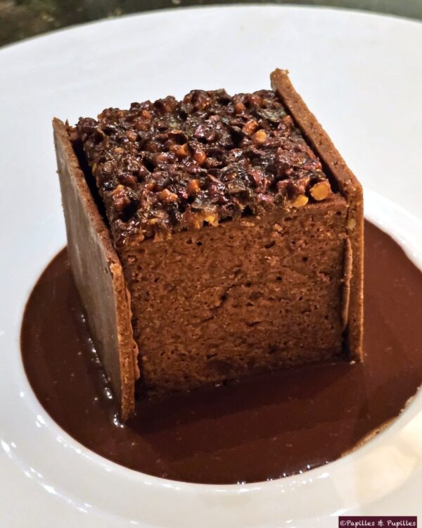 Cubique chocolat grand cru Madong, Papouasie Nouvelle Guinée, multi textures.