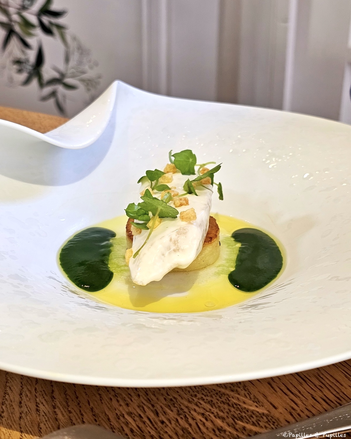 Filet de Saint Pierre