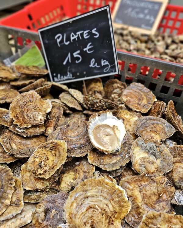 Huîtres plates